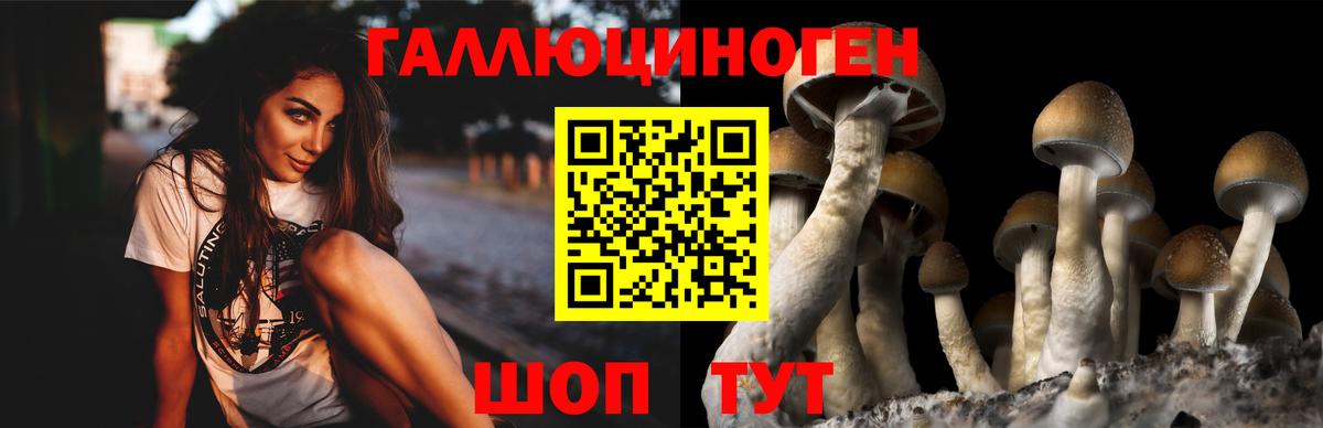 Благодарный  Псилоцибиновые грибы Psilocybe  Вход с VPN 